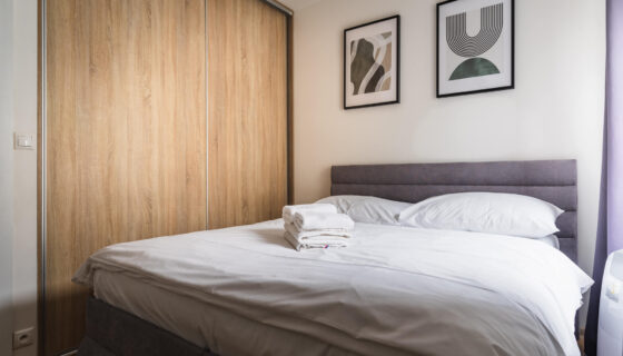 Economy One-bedroom Apartment – Suche Myto 4